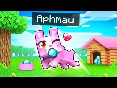 Aphmau - My SECRET Girl Puppy PRANK In Minecraft!