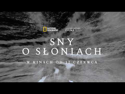 Trailer filmu Sny o słoniach