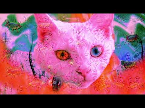 Bicircular - True (feat  Leanne Kelly)