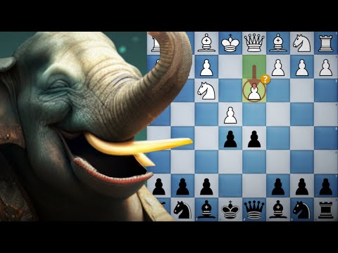 Never Decline the ELEPHANT GAMBIT