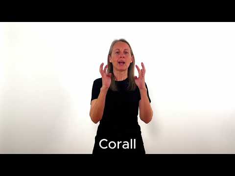 Corall - LSC