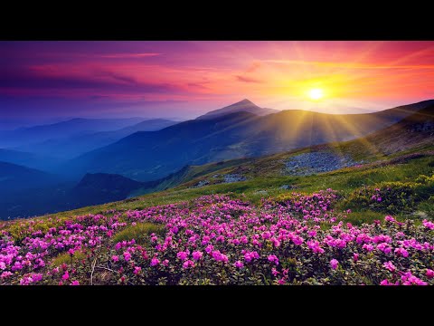 Liquid Drum and Bass Mix 326 - Guest Mix: Digital Native