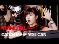 YUIMETAL Focus Catch Me If You Can BABYMETAL 4k ENG SUB