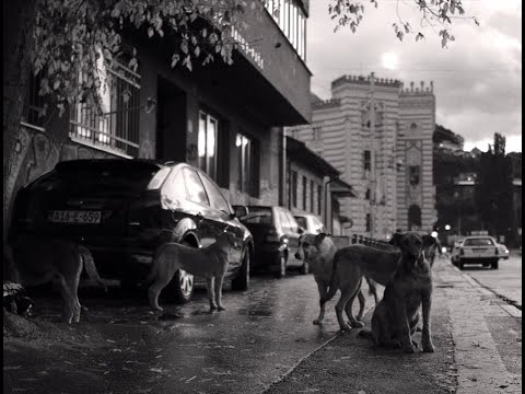 Filmmuseum-Trailer: "Faith" (Lav Diaz, 2024)