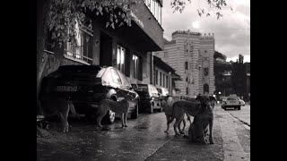 Filmmuseum-Trailer: "Faith" (Lav Diaz, 2024)
