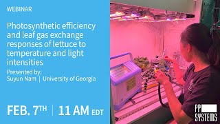 Photosynthetic efficiency & leaf gas exchange responses of lettuce to temperature & light intensity