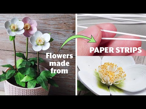 How I started working with 1 mm paper strips - Paper Quilling Flowers