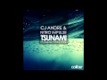 CJ Andre feat. Nitro Impulse - Tsunami ft. Karina ...