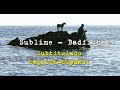 Sublime - Badfish  (Subtitulado English - Español)