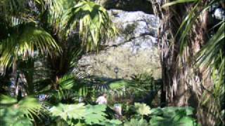 They All Ask&#39;d For You