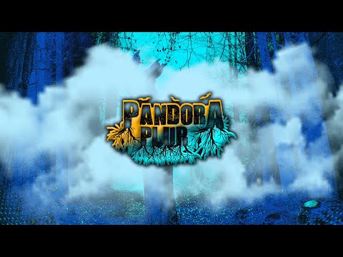 Live Halloween 2023 - Pandora Plur
