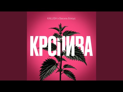 Кропива