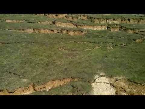 Dezastrul de la Gasteni