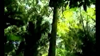 nil lara @ mamas chant © capitol records . beluga blue