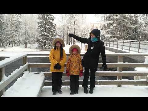 2021.01.10. Koitelinkoski