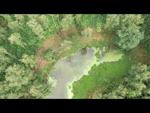 Retencja w Leśnictwie Lekowo