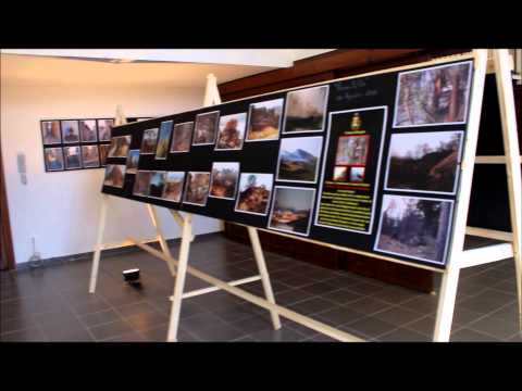 Borgetto Passato, Presente e Futuro