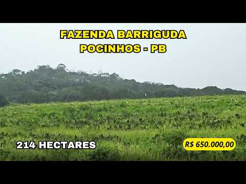 🌾 FAZENDA BARRIGUDA – ESTRUTURA PRONTA PARA PECUÁRIA NO AGRESTE PARAIBANO 🌾