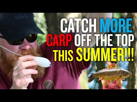 TOP TIPS For Catching Carp Off The Surface |  Floater Fishing For Carp | Summer Carp Fishing