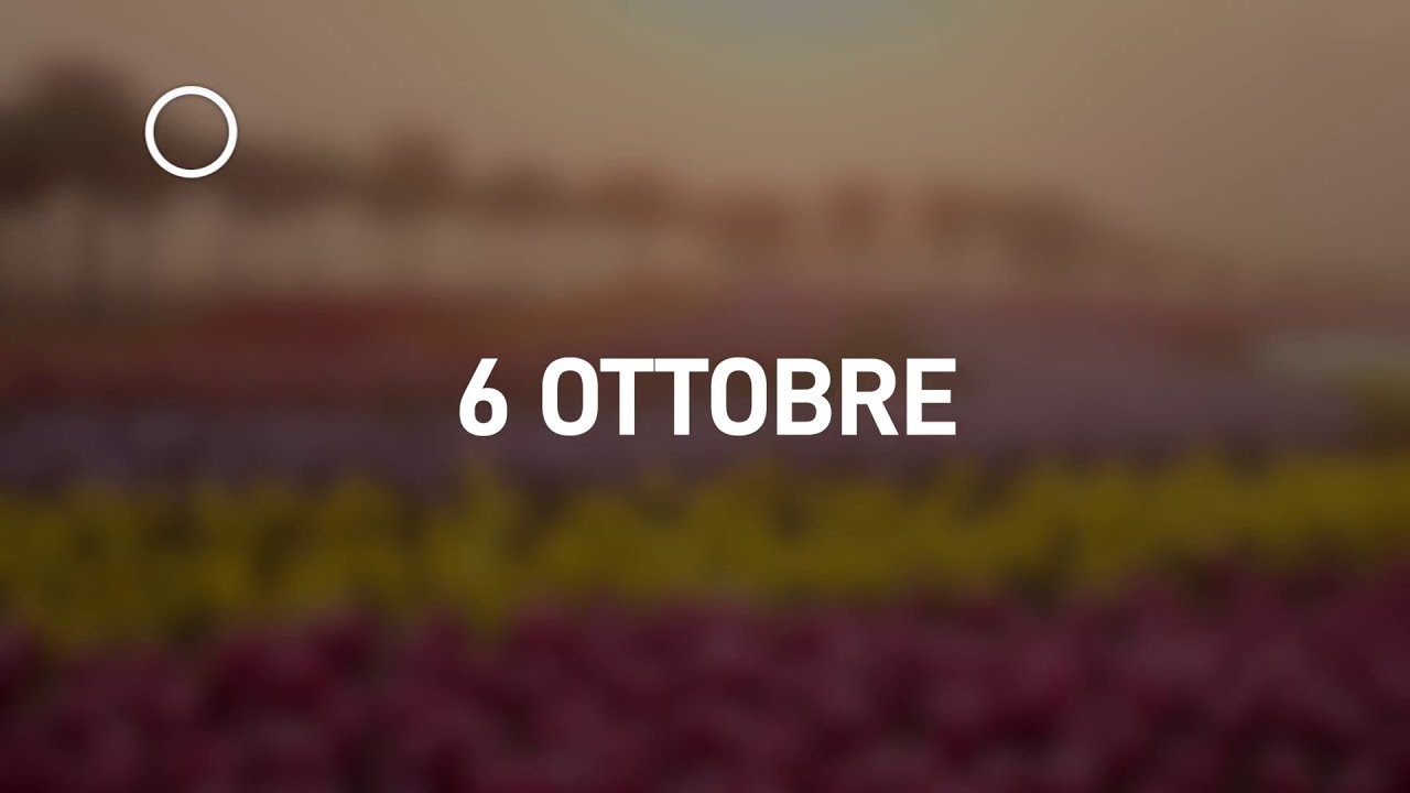06 Ottobre 2024 | Meditazione Parole di Vita