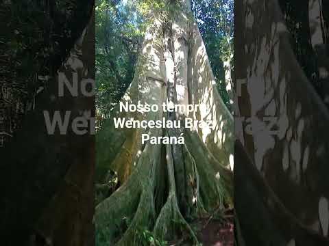 tempro de Wenceslau Braz Paraná