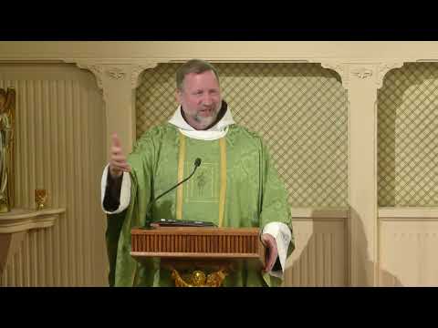 Readings and Homily - 2026-01-20 - Fr. Mark