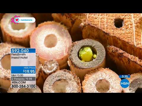 HSN | Lawn & Garden 04.06.2018 - 03 PM