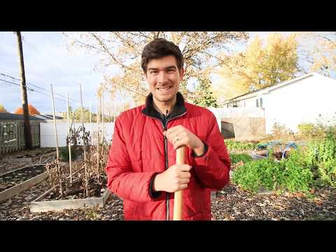 image-What flowers can I plant now in Massachusetts?