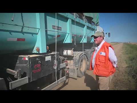 Zafra arrocera, cosecha 2024