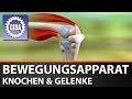Trailer - Bewegungsapparat - Knochen & Gelenke - Biologie - Schulfilm