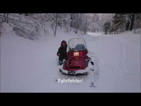 Sibirienwolf fährt Schneemobil Sibirienwolf fährt Schneemobil