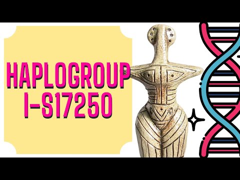 Y-DNA-Haplogruppe - I-S17250 - Slawische DNA / Cucuteni-Trypillia-Kultur