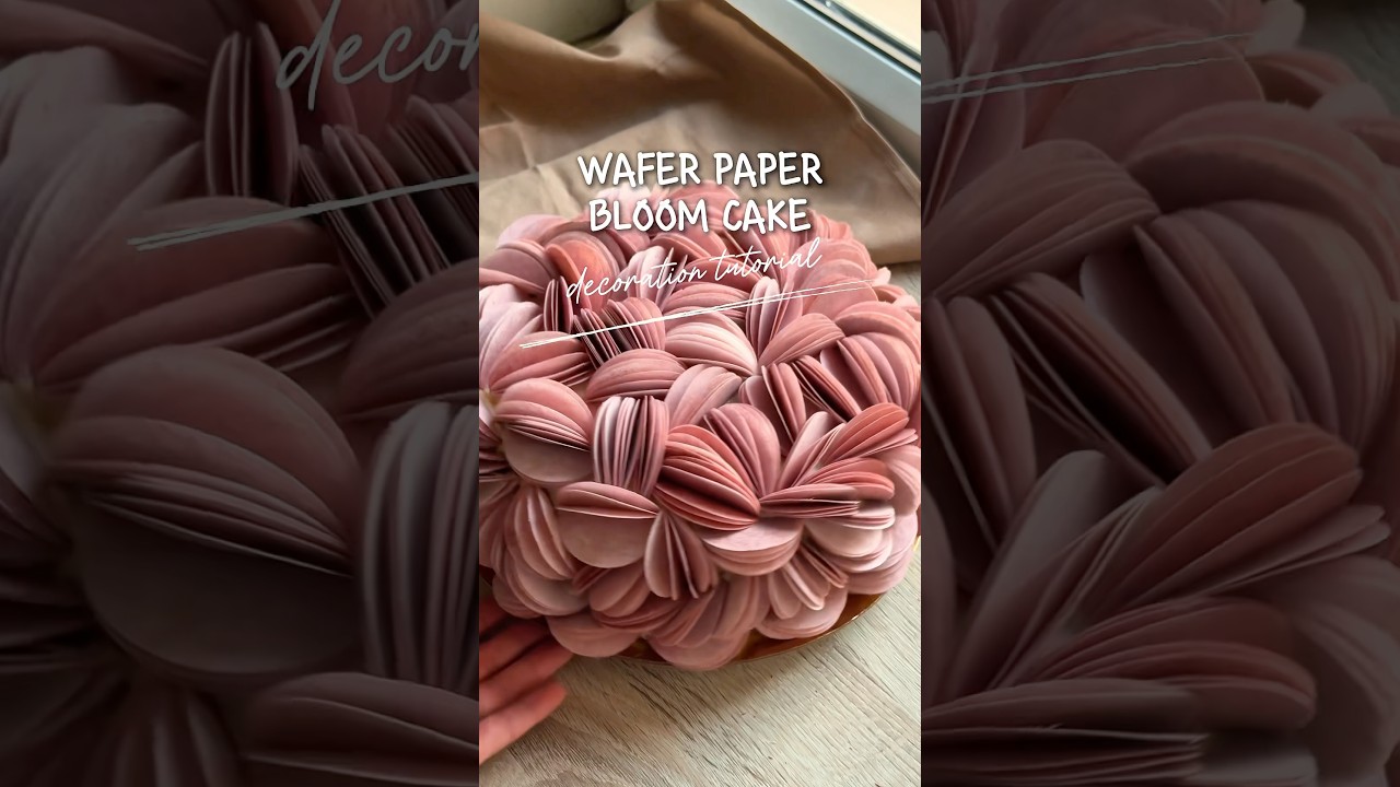 Wafer Paper Bloom Cake Decoration🌸✨ check out instructions in the description⬇️ #cakedecorating