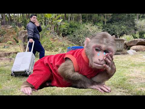 What happened🥹Uncle left Max family house in the woods 🍀