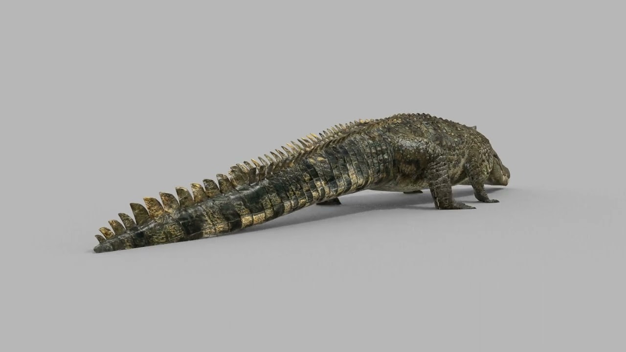 Top Croc PRO - 8K 3D Animated Crocodile Model 3D Model