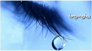 Download lagu Maruvarthai pesathe whatsapp status mp3