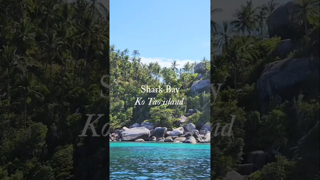 YouTube Short thumbnail