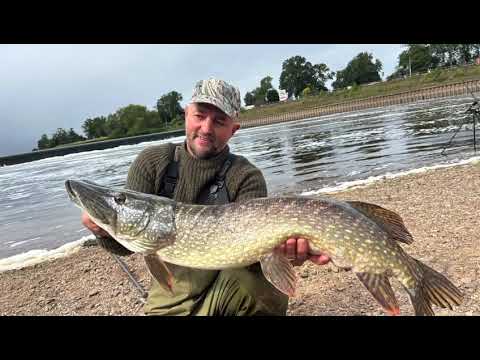 Collingham weir 2023 👌