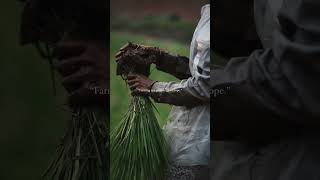 Agriculture status||Farmer video||farmer WhatsApp status||agricultural WhatsApp status #Shorts