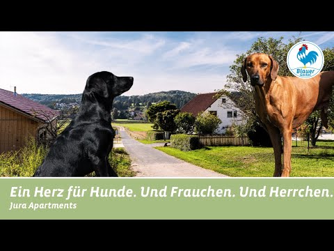 Hundefreundliche Ferienwohnungen in Bayern | Jura Apartments