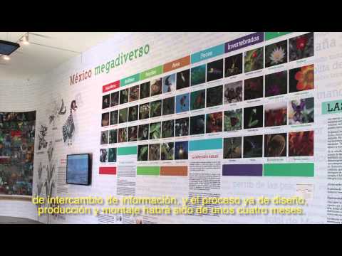 Plaka en la exposición: Darwin - Entrevista con Ernesto Bejarano.