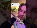 Propagating Umbrella Tree