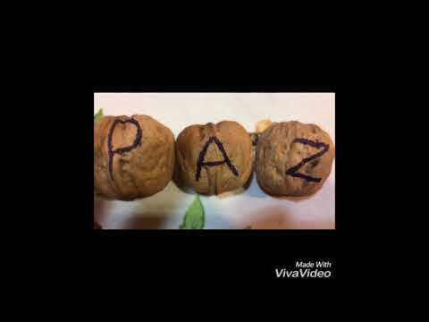 Soberanía alimentaria