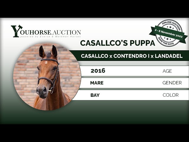 Casallco's Puppa