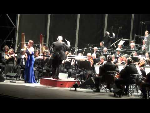 Ennio Morricone Arena Verona 2013 - Susanna Rigacci