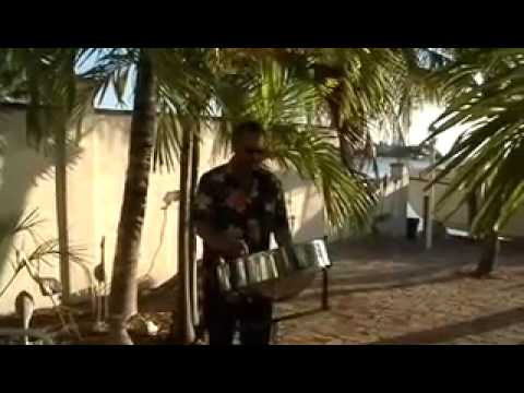 Here Comes The Bride on Steel Drum by Dave Herzog.mov