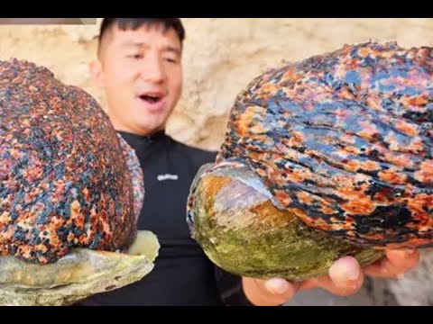 Morocco Sahara Adventure Ep.1 Searching Snail Beads & Chaos With Giant Lobsters! SURVIVAL CHALLENGE