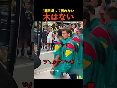 10回切って倒れない木はない