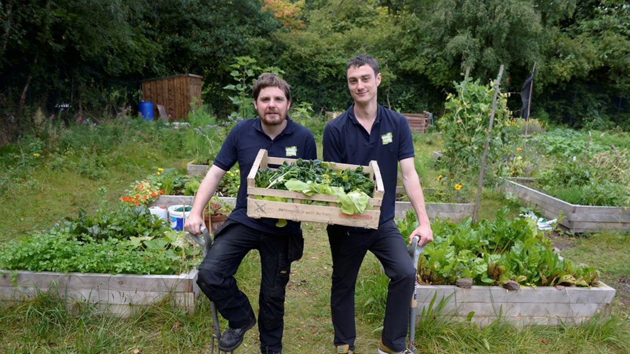 Grassroots project aims to bring climate emergency closer to home