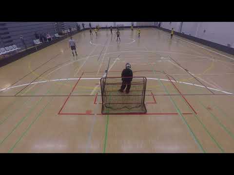 Welhot-007 2017-10 Kuopio: Jäsentenvälinen Kultasormet-Pallosalamat 7-13